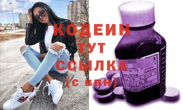 дживик Няндома