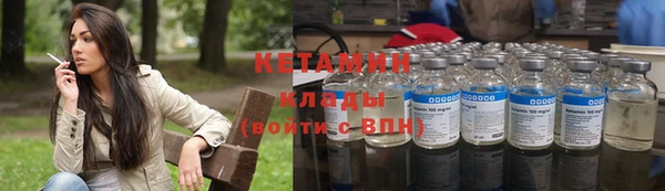 дживик Няндома