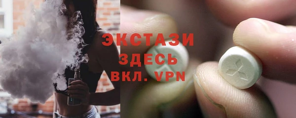 дживик Няндома