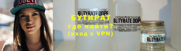 дживик Няндома