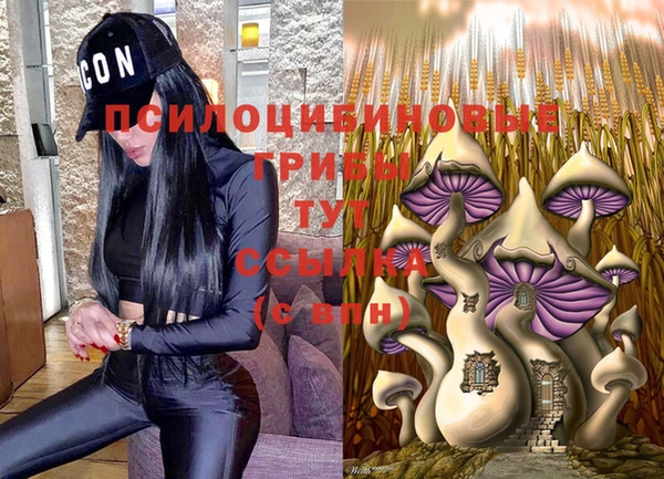 МДПВ Нягань