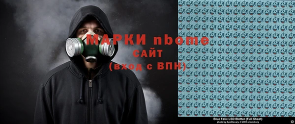 дживик Няндома