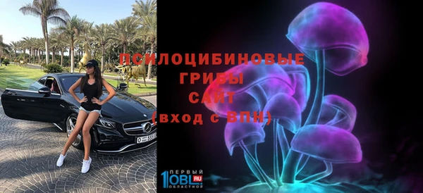 бутират Нязепетровск