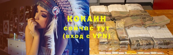 дживик Няндома