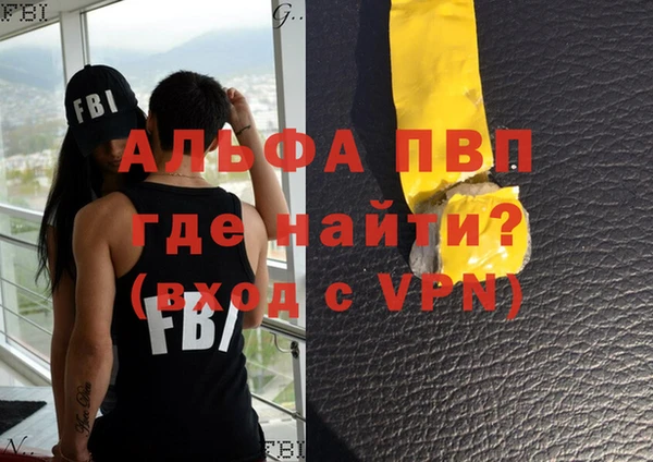 дживик Няндома